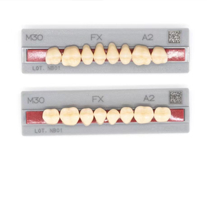 Dents de matériaux <span class=keywords><strong>en</strong></span> résine dentaire améliorées artificielles FX plaque postérieure dents Type dur 8 pièces X 12(96 pièces)/boîte mâchoires supérieures et inférieures - Product Image 3
