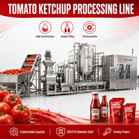 Machine de fabrication de sauce tomate clé en main, machine professionnelle automatique de traitement du ketchup au chili avec ligne de remplissage aseptique