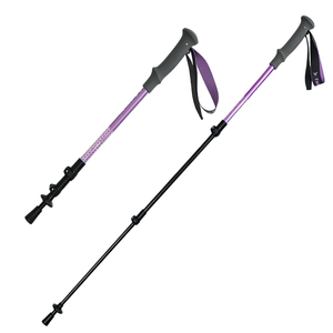 Bâtons de randonnée en fibre de carbone HOFI pour les fournisseurs de randonnée sur sentiers enneigés d'hiver au Canada - Product Image 2