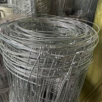 Malla de Alambre Cuadrada de Acero Galvanizado en Caliente de Alta Resistencia para Cercas, Soldadura y Doblado para Ganado, Ovejas y Aves de Corral