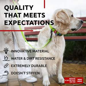 Collar Moderno para Perro Waudog Verde, 14-23 Pulgadas, 1 Pulgada de Ancho, Acolchado, de Nailon, con Hebilla Ajustable para Perros Medianos y Grandes - Product Image 5