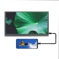 15,6-Zoll 1080P FHD IPS-Display mit Zusatzbildschirm für Laptop, Keine Treiber Erforderlich, Plug-and-Play