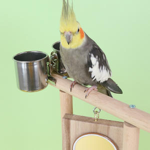 Madera maciza loro narcisista espejo patio de recreo Estación de entrenamiento estante subir escalera columpio juego de juguete - Product Image 4