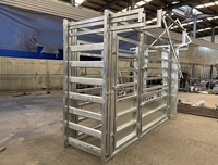 Usine Offre Spéciale bovins en acier robuste écraser bétail presser chute stock yard à vendre