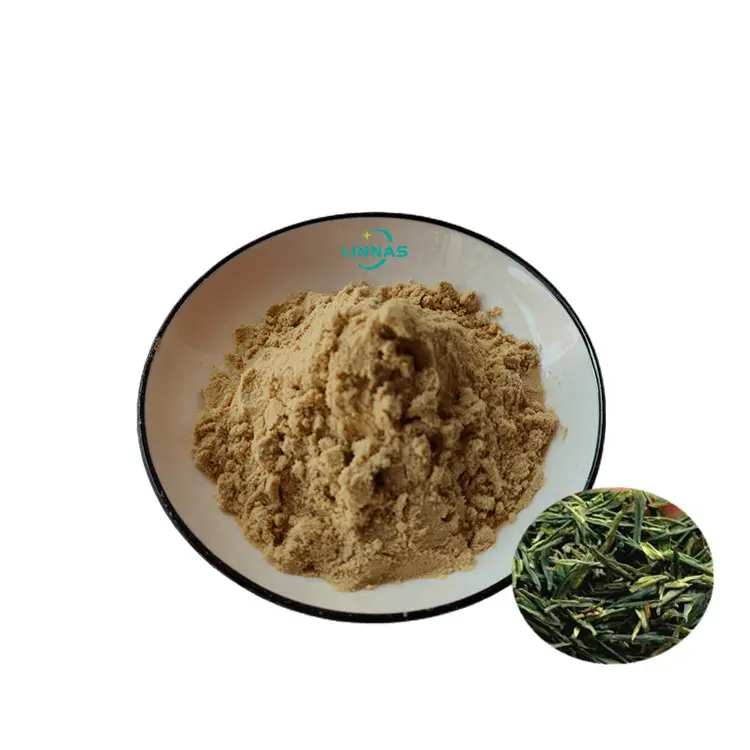 Campione gratuito EGCG prezzo all'ingrosso 90% polifenoli integratore di tè verde estratto in polvere