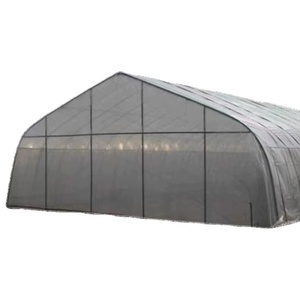 Copertura per Serra Monocampata 6x30m per Orticoltura, Serra a Tunnel Commerciale - Product Image 4