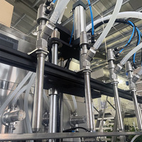 Remplisseuses de bouteilles automatiques Remplisseuse de liquides Machine de capsulage Ligne de production de jus de fruits