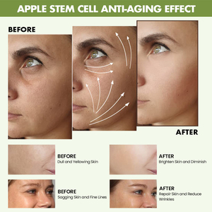 Custom Private Label organico Anti-invecchiamento siero viso naturale riparazione della pelle con cellule staminali di mela vitamina E glicerina lotta per le rughe - Product Image 4