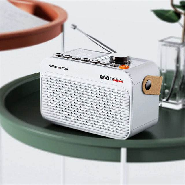 New Digital DAB+/FM for 5.0 Portable Clock Radio Alarm 2000mAh Rechargeable Battery Built-In Speaker Screen MP3 Support