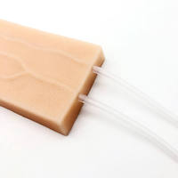 Almohadilla de Entrenamiento de Venopunción de Plástico, Simulador de Inyección IV, Maniquí para Práctica de Extracción de Sangre, Modelo de Entrenamiento Médico de Flebotomía
