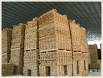 ที่แขวนผ้าพันคอพลาสติกแบบตะขอเกี่ยวประหยัดพื้นที่ห้องนั่งเล่นชั้นเดียวสำหรับเข็มขัดผูกผ้าพันคอ - Product Image 6