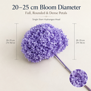 Liviflo Popolare Composizione Floreale Fiori Secchi Naturali Conservati Bouquet di Ortensie Anna per Decorazioni Pasquali e Natalizie - Product Image 3