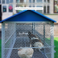 Cage d'élevage de volailles galvanisée à chaud, portable, pour l'extérieur, avec collecte automatique des œufs, pour l'élevage familial