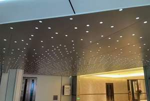 בנייה עירונית מנוקב מחורר רשת פאנל אלומיניום גיליון תקרה מתכת גדר תקרה קישוט עמיד תיל סגסוגת רשת - Product Image 6