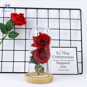 Fleurs Offre Spéciale créatives avec base en <span class=keywords><strong>bois</strong></span> couverture en verre roses PE - Product Image 6