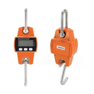 300kg Balance Electronique Weight Hanging Luggage Electronic Scale Bascula Scales Weigh Digital Weighing Crane Electronic Scale