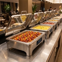 Chauffe-Plat Électrique Professionnel en Acier Inoxydable avec Contrôle de Température pour Buffets, Hôtels et Restaurants