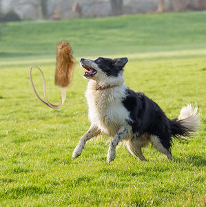 Di lunga durata in vera pelliccia di coniglio cane giocattolo da masticare morbido resistente e sicuro per il cucciolo di addestramento per la dentizione per tutte le occasioni gioco di animali - Product Image 3