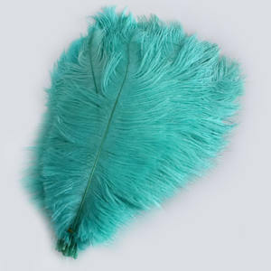 Stock de fábrica plumas de avestruz teñidas 30-35cm decoración colorida de la boda arreglo floral <span class=keywords><strong>ropa</strong></span> de escenario pautas de Carnaval - Product Image 6
