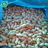 Arachides blanchies IQF de qualité supérieure, sans peau, pour la production de beurre d'arachide