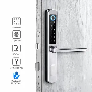 Paslanmaz çelik güvenlik su geçirmez sürgülü APP Wifi ttlock çift taraflı parmak izi akıllı kapı kilidi