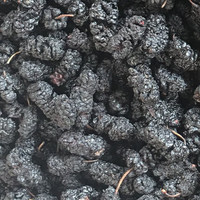 Mûres séchées en vrac de Sichuan Panzhihua, emballage en boîte, grande quantité, réduction, durée de conservation de 12 mois