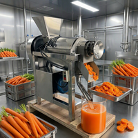 Industriële citruspers, sinaasappelsapmachine, citroenextractor, wortel- en appelpers, hoogwaardige slowjuicer