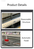 Cage à poulets à étages superposés, équipement d'élevage avicole, collecte automatique des œufs, galvanisation à chaud, pour machine d'élevage de poules pondeuses