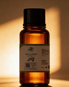 Huile essentielle d'eucalyptus pure naturelle distillée à la vapeur 60 ml Sûre pour le bain du corps Soins capillaires Aromatique Biologique Revitalisant pour la peau - Product Image 1