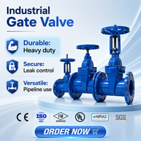 Vanne à opercule à tige montante à siège souple en fonte ductile type A BS 5163, EPDM NBR, pour eau, manuelle, température normale
