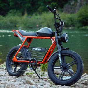 Bicicletta Elettrica Fuoristrada Importata con Doppia Sospensione, Ruote Grandi da 20 Pollici, Stile Vintage, Due Posti, Prodotta in Cina - Product Image 1