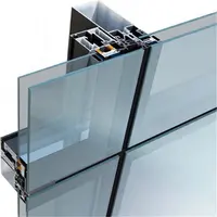 Lieferanten aluminium furnier extrusion profil reflexion glas vorhang wand