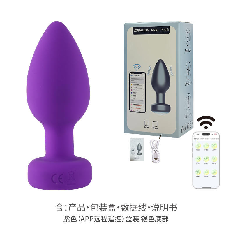 Télécommande Purple-app - Boîtier argenté inférieur