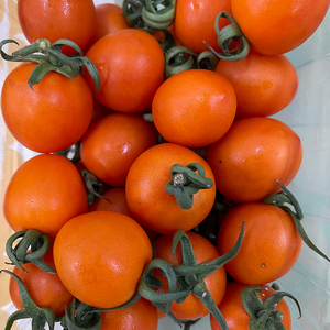 Sweet Juicy Little Yellow <strong>Cherry</strong> <strong>Tomato</strong> Fresh Fruit China Orange Price