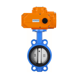 Actuador Automático de Hierro Dúctil Motorizado de 4 Pulgadas, Dn100 PN16 - Product Image 1