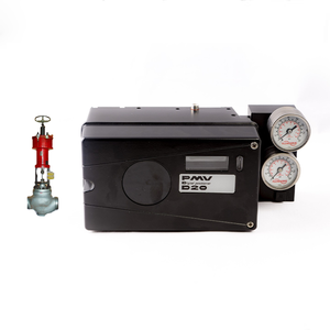 PMV D20 ดิจิตอลของแท้ใหม่เอี่ยม พร้อมด้วยเซี่ยงไฮ้ เตียนเจี้ยน - Product Image 1