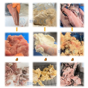 Separador <span class=keywords><strong>de</strong></span> Espinas <span class=keywords><strong>de</strong></span> Pescado 150/200/350, Recolector <span class=keywords><strong>de</strong></span> Carne <span class=keywords><strong>de</strong></span> Pescado, Removedor <span class=keywords><strong>de</strong></span> Espinas, Desespinador <span class=keywords><strong>de</strong></span> Camarones y Cangrejos, Máquina para Desespinar Pescado - Product Image 4