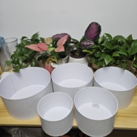 Boîtes rondes en papier de couleur unie en gros à bas prix, 5 pièces, boîtes rondes en carton, grandes boîtes rondes blanches pour bouquets pour la Saint-Valentin