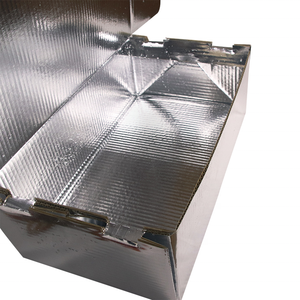 custom printed packaging Customise Chilltainers Insulated Cardboard Shipping cold storage foiled foam boxes for meat food