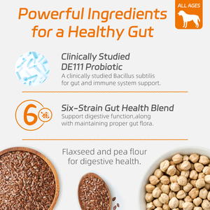 जिप फैक्ट्री कुत्ते एलर्जी राहत पूरक त्वचा और खुजली कान के पालतू स्वास्थ्य देखभाल पूरक - Product Image 4