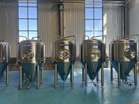 Cuve de Fermentation de Bière en Acier Inoxydable Cassman 300L 500L 1000L 2000L, Vessel sous Pression à Commande PLC, Moteur Haute Performance
