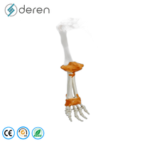 Modèle de squelette de membre inférieur humain grandeur nature avec articulations de la hanche et du pied, en PVC, modèle éducatif d'anatomie complète de la jambe
