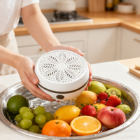 Hydroxyl-elektrolysegenerator voor het reinigen en steriliseren van vis, vlees, fruit en groenten; fruit- en groentewasmachines.