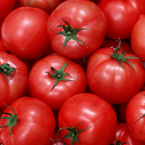 Tomates de Provence à <span class=keywords><strong>chair</strong></span> de sable du Yunnan 2.5kg Grandes tomates fraîches à peau de fer - Product Image 5