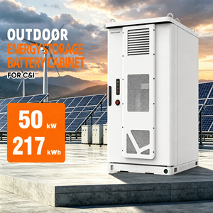 Système de stockage d'énergie tout-en-un 50 kW 217 kWh avec refroidissement pour station de recharge de véhicules électriques et rasage - Product Image 1