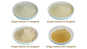 Prix de gros, poudre <span class=keywords><strong>d</strong></span>'extrait de racine de gingembre de qualité supérieure, poudre de gingembre biologique pure séchée - Product Image 6