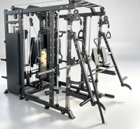 Système d'entraînement tout-en-un DINUO Smith, pile de poids en acier massif standard de 70 kg, machine d'entraînement de force pour tout le corps pour salle de sport à domicile