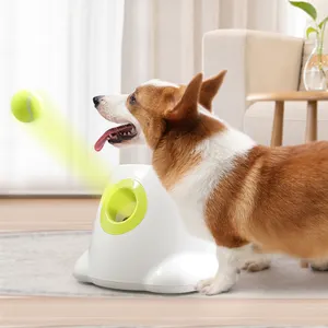 Lanceur automatique de balles de Tennis pour chien, jouet d'entraînement, balles de Tennis automatiques, lanceur interactif pour chiot, lanceur de balles pour animaux de compagnie