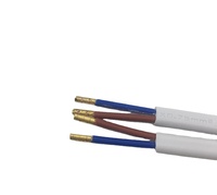 Adaptateur Jack DC QUANWEI pour Bande Lumineuse LED 5.5 X 2.1mm Connecteur de Câble USB Mâle Femelle