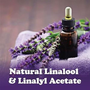 Aceite Esencial de Lavanda 100% Puro y Orgánico Más Vendido, Cosméticos para la Piel, Sueño, Aroma, Masaje - Product Image 6